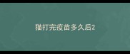 猫打完疫苗多久后