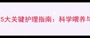 刚断奶猫咪的5大关键护理指南科学喂养与健康管理全