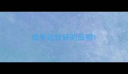 成年边牧好的品相