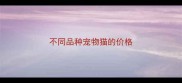 不同品种宠物猫的价格