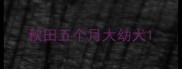 秋田五个月大幼犬