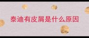 泰迪有皮屑是什么原因