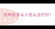 拉布拉多从小怎么去打针