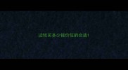 边牧买多少钱价位的合适