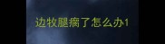 边牧腿瘸了怎么办