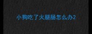 小狗吃了火腿肠怎么办