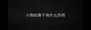 小狗的鼻子有什么作用
