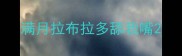 满月拉布拉多舔我嘴