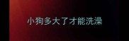 小狗多大了才能洗澡