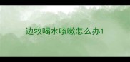 边牧喝水咳嗽怎么办