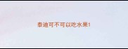 泰迪可不可以吃水果