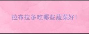 拉布拉多吃哪些蔬菜好