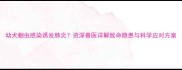 幼犬蛔虫感染诱发肺炎资深兽医详解致命隐患与科学应对方案