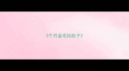 3个月金毛拉肚子