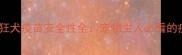 国外进口宠物狂犬疫苗安全性全宠物主人必看的疫苗选择指南