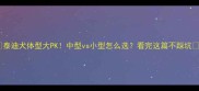泰迪犬体型大PK中型vs小型怎么选看完这篇不踩坑