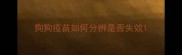 狗狗疫苗如何分辨是否失效