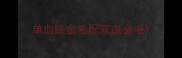 单血统金毛配双血金毛