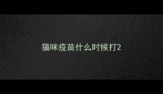猫咪疫苗什么时候打