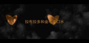 拉布拉多和金毛流口水