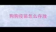 狗狗疫苗怎么存放