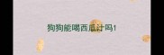 狗狗能喝西瓜汁吗