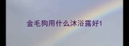 金毛狗用什么沐浴露好