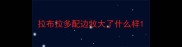 拉布拉多配边牧大了什么样