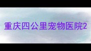 重庆四公里宠物医院