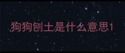 狗狗刨土是什么意思