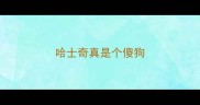 哈士奇真是个傻狗