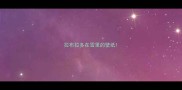 拉布拉多在雪里的壁纸