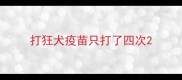 打狂犬疫苗只打了四次