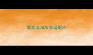 黑泰迪和灰泰迪配种