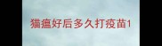 猫瘟好后多久打疫苗