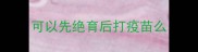可以先绝育后打疫苗么
