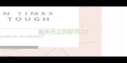 猫咪托运到新西兰