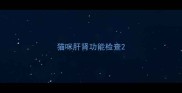 猫咪肝肾功能检查