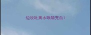 边牧吐黄水眼睛充血
