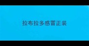 拉布拉多感冒正装