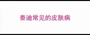 泰迪常见的皮肤病