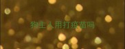 狗主人用打疫苗吗