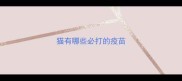 猫有哪些必打的疫苗