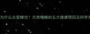 科学小狗为什么总爱睡觉犬类嗜睡的五大健康诱因及科学养护指南
