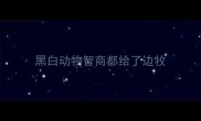 黑白动物智商都给了边牧
