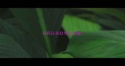 拉布拉多肋骨后边瘦