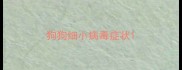 狗狗细小病毒症状