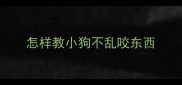 怎样教小狗不乱咬东西