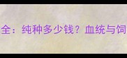 哈士奇犬价格全纯种多少钱血统与饲养成本大公开