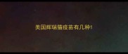 美国辉瑞猫疫苗有几种